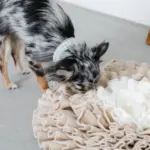 ノーズワークバイカラーマット - 画像 (8)