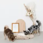 ノーズワークバイカラーマット - 画像 (9)