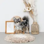 ノーズワークバイカラーマット - 画像 (10)