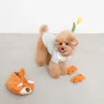 くまさんスリッパとなかまたちのおもちゃ - 画像 (3)