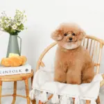 クロワッサンとバターのノーズワークぬいぐるみ - 画像 (2)