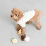 きのこのノーズワークおもちゃ - 画像 (2)