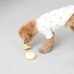 きのこのノーズワークおもちゃ - 画像 (4)