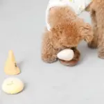 きのこのノーズワークおもちゃ - 画像 (5)