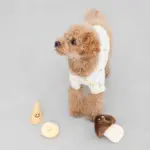 きのこのノーズワークおもちゃ - 画像 (10)