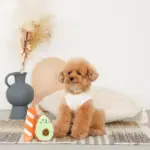 アボカドとパンのおもちゃ - 画像 (2)