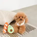 アボカドとパンのおもちゃ - 画像 (3)