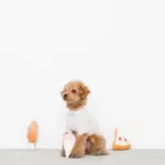 パーティーセットのおもちゃ - 画像 (2)