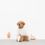 パーティーセットのおもちゃ - 画像 (3)