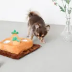 ノーズワーク4つのにんじん畑のおもちゃ - 画像 (2)