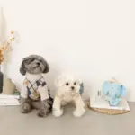 ビックイヤーぞうさんぬいぐるみ - 画像 (3)