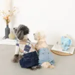 ビックイヤーぞうさんぬいぐるみ - 画像 (4)