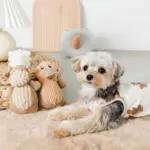 コーデュロイのあひるさん - 画像 (2)