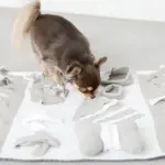 ノーズワークデコレーションバイカラーマット - 画像 (6)