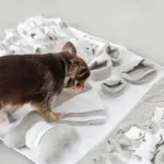 ノーズワークデコレーションバイカラーマット - 画像 (7)