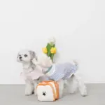 ノーズワーク食パン3SET - 画像 (5)