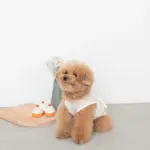 シリコンカップケーキ - 画像 (4)