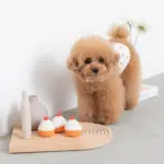 シリコンカップケーキ - 画像 (6)