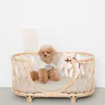 ネックリボンくまさん - 画像 (4)