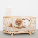 ネックリボンくまさん - 画像 (5)