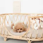 ネックリボンくまさん - 画像 (6)