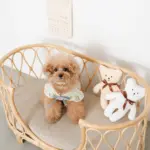 ネックリボンくまさん - 画像 (7)