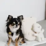 白いイヌさん - 画像 (2)