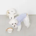 白いイヌさん - 画像 (3)