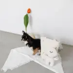 白いイヌさん - 画像 (7)