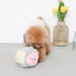 ノーズワークサイコロボール - 画像 (3)