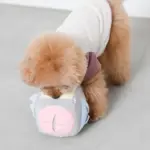 ノーズワークサイコロボール - 画像 (5)