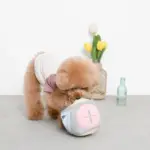 ノーズワークサイコロボール - 画像 (6)