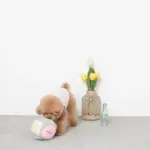 ノーズワークサイコロボール - 画像 (7)