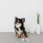 手編みのおしゃぶりおもちゃ - 画像 (3)