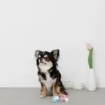 手編みのおしゃぶりおもちゃ - 画像 (5)