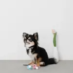 手編みのおしゃぶりおもちゃ - 画像 (8)