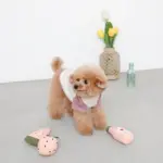 ピンクのイチゴのおもちゃ - 画像 (3)