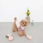 ピンクのスイカのおもちゃ - 画像 (4)