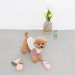 ピンクのトマトソースのおもちゃ - 画像 (2)