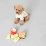 ハンバーガーとポテトのおもちゃ - 画像 (2)