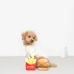 ハンバーガーとポテトのおもちゃ - 画像 (3)