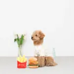 ハンバーガーとポテトのおもちゃ - 画像 (4)