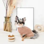 ノーズワークホットケーキ - 画像 (2)