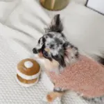 ノーズワークホットケーキ - 画像 (7)