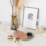 ノーズワークホットケーキ - 画像 (9)