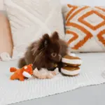 ノーズワークホットケーキ - 画像 (10)