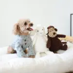 コーデュロイのひつじさん - 画像 (2)