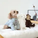 コーデュロイのひつじさん - 画像 (4)