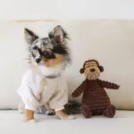 コーデュロイのサルさん - 画像 (2)