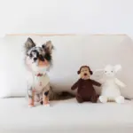 コーデュロイのサルさん - 画像 (6)